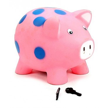 Speedage Piggy Money Bank,Pink